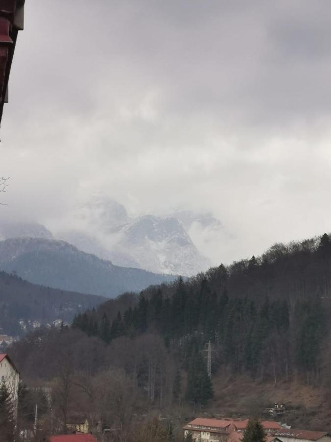Apartamento Apartament Panoramic View Sinaia Exterior foto